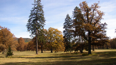 Zámecký park v Červeném Dvoře