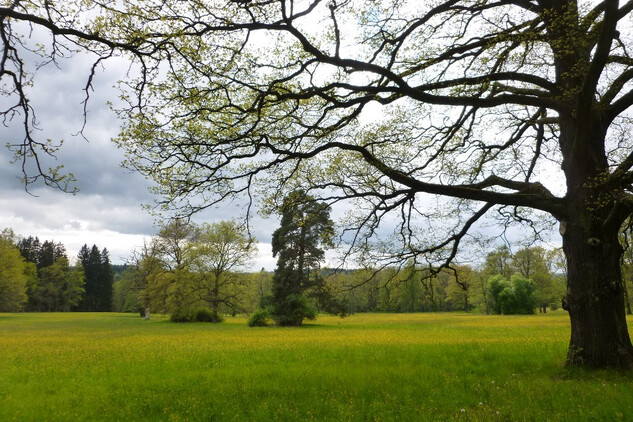 Červený Dvůr - zámecký park.