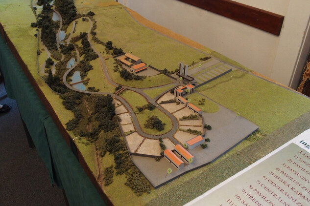 Model dvorského safari